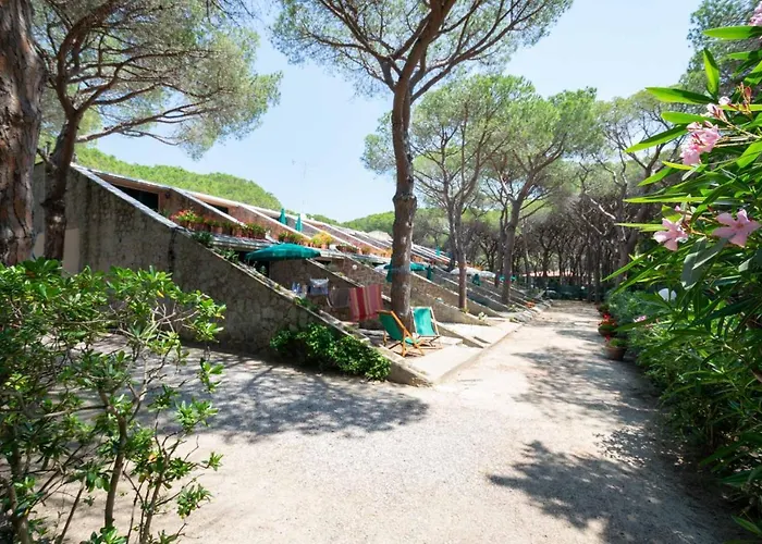 Apartment Dunelba Marina di Campo